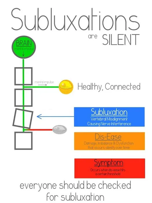 Rhino Chiropractic Center Picture 2