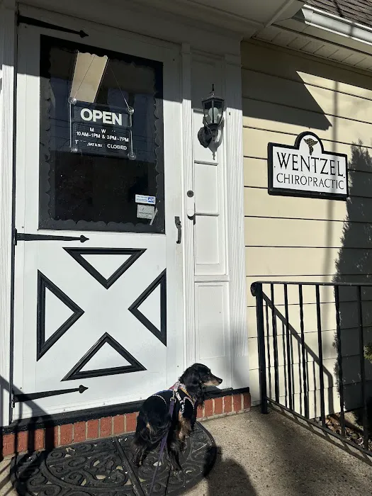 Wentzel Chiropractic Centre Picture 2