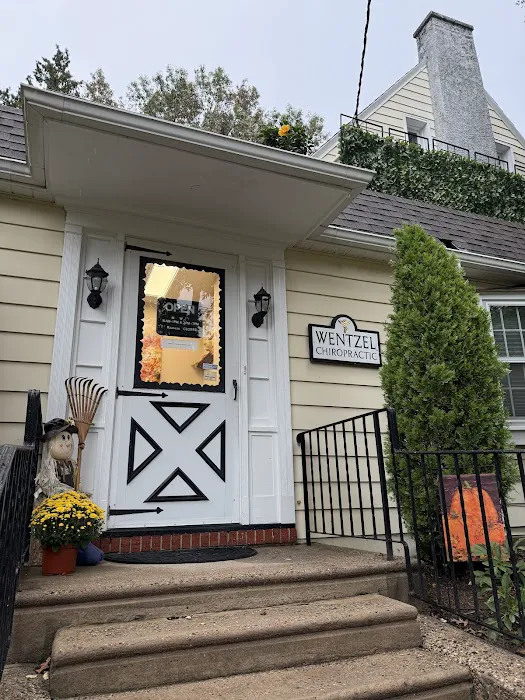 Wentzel Chiropractic Centre Picture 7