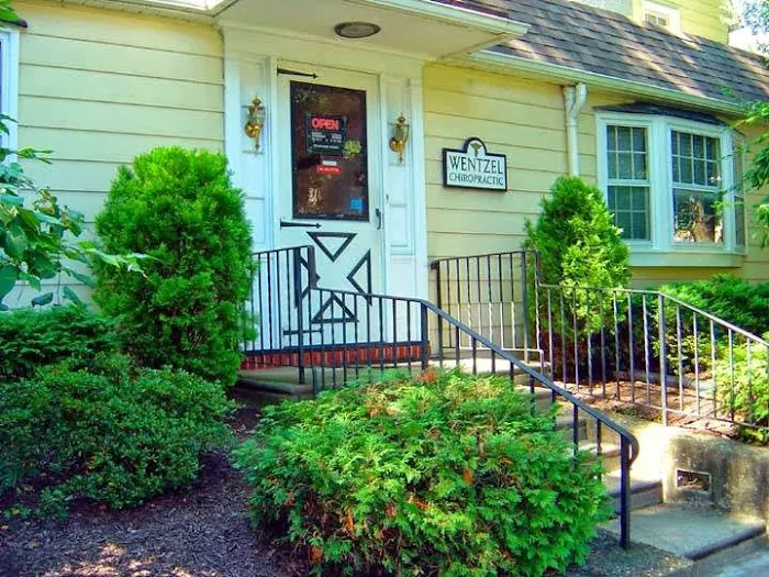 Wentzel Chiropractic Centre Picture 3