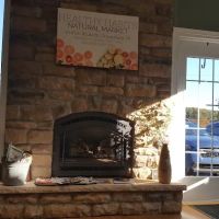 Blue Mountain Chiropractic ico