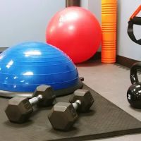 Westside Wellness Chiropractic Center ico