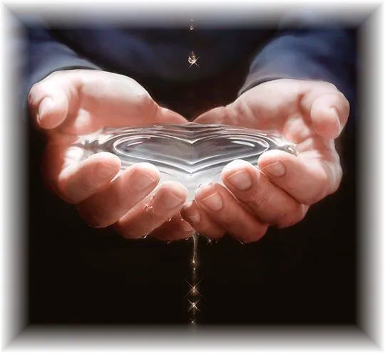 Integrative Wellbeing & Chiropractic Picture 6