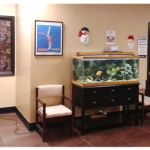 Dr Jerry Sangiamo-Family Chiropractic & Massage Therapy