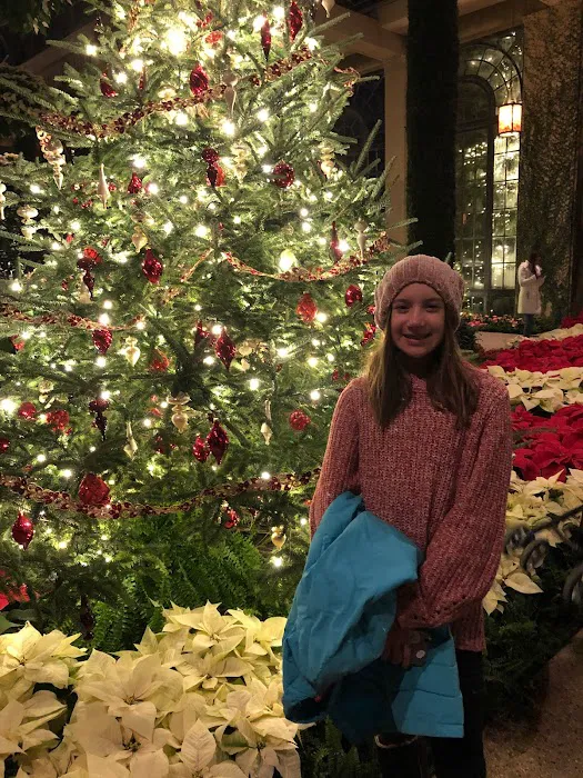 Freshour Chiropractic Picture 2