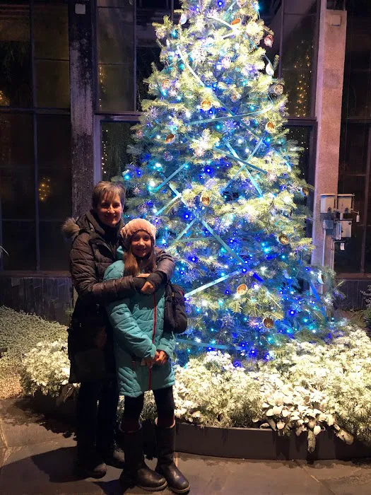 Freshour Chiropractic Picture 8