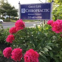Great Life Chiropractic & Massage ico