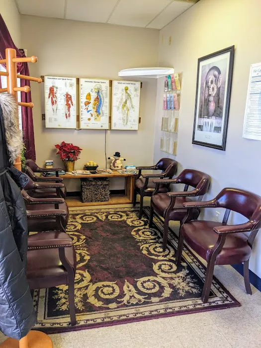 Back And Neck Clinic Of Exeter Picture 4