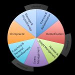 Lavanga Holistic Center: Dr. Dan Lavanga