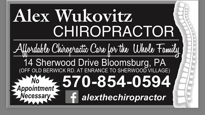 Dr. Alex Wukovitz, Chiropractor Picture 1