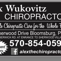 Dr. Alex Wukovitz, Chiropractor ico