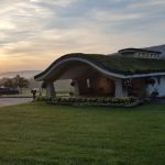 Rachel V. Leskosky DC, Family Chiropractor, Life Expression Wellness Center