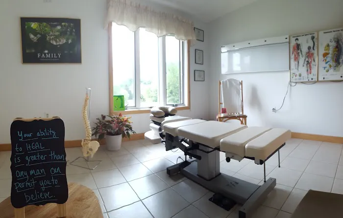 Rachel V. Leskosky DC, Family Chiropractor, Life Expression Wellness Center Picture 7