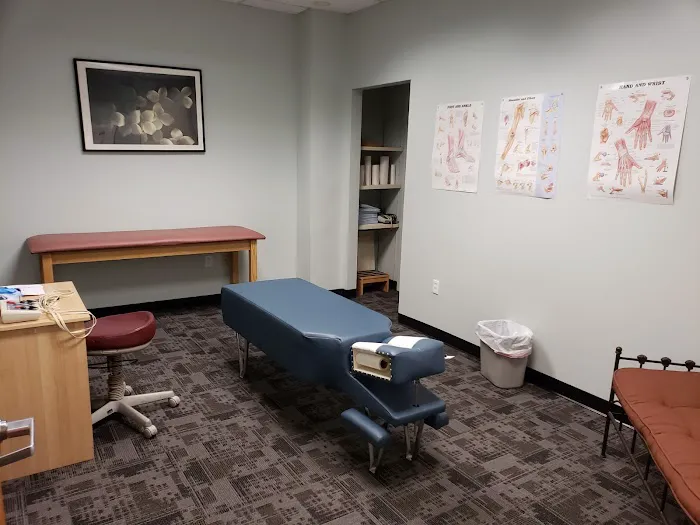 Spruce Chiropractic Health Center Picture 7