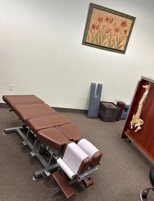 Rufus Chiropractic and Wellness Picture 4