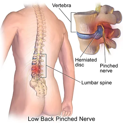 Woodward Chiropractic Clinic, PC Picture 4