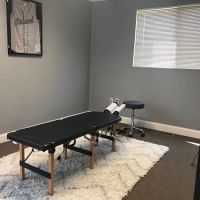 Professional Sport & Spine ico