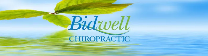Bidwell Chiropractic Center Picture 7