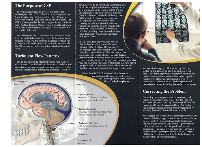 Betterisland Chiropractic Picture 7