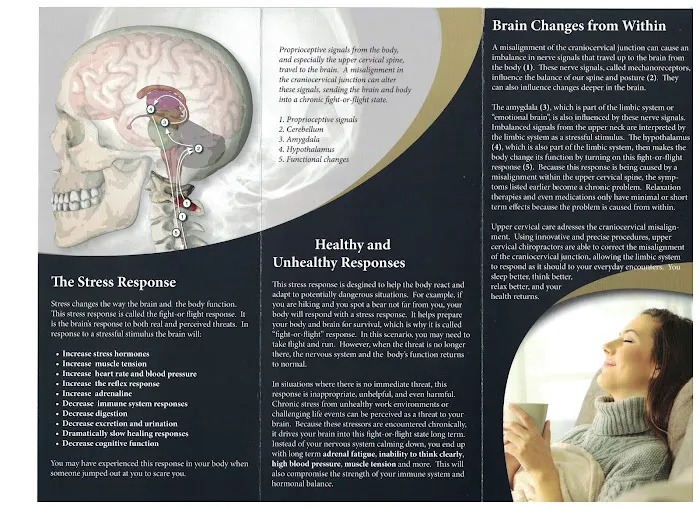 Betterisland Chiropractic Picture 5
