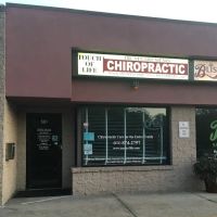 Touch of Life Chiropractic ico