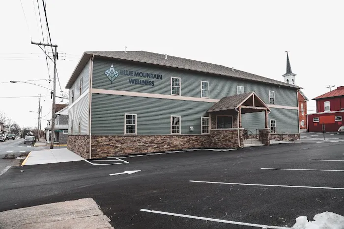 Blue Mountain Wellness Picture 1