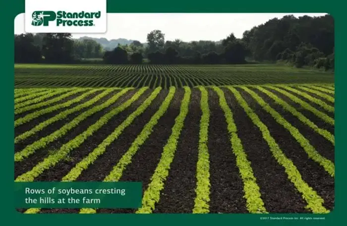 Bond Chiropractic Center Picture 5