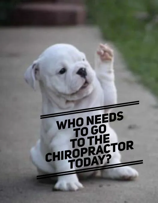 REACH Wellness Picture 4