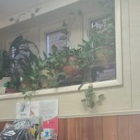 6808 Chiropractic Center ico