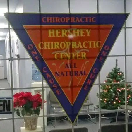 Hershey Chiropractic Center Picture 8