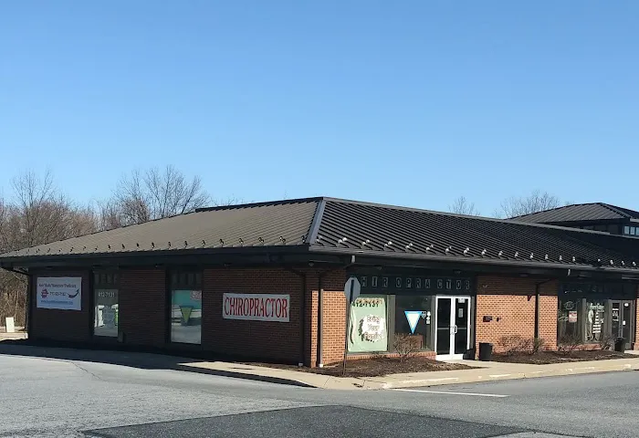 Linglestown Chiropractic Picture 4