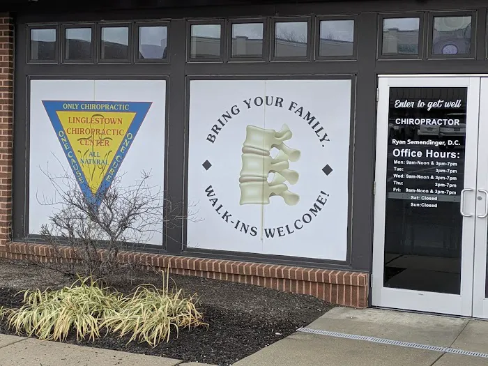 Linglestown Chiropractic Picture 3