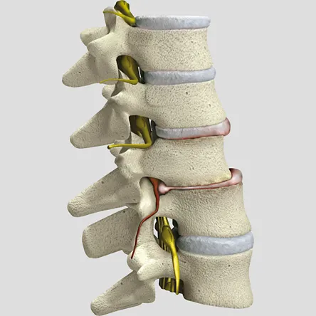 Ghessi Chiropractic and Wellness LLC Picture 3
