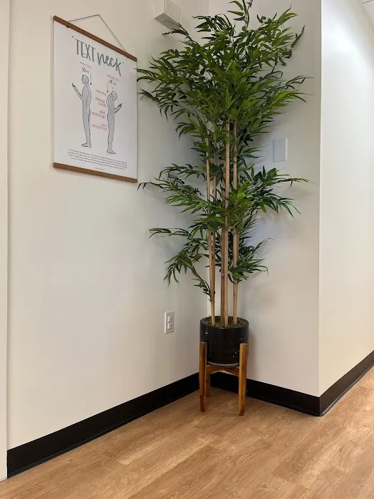 FocusedHealth Chiropractic Picture 2