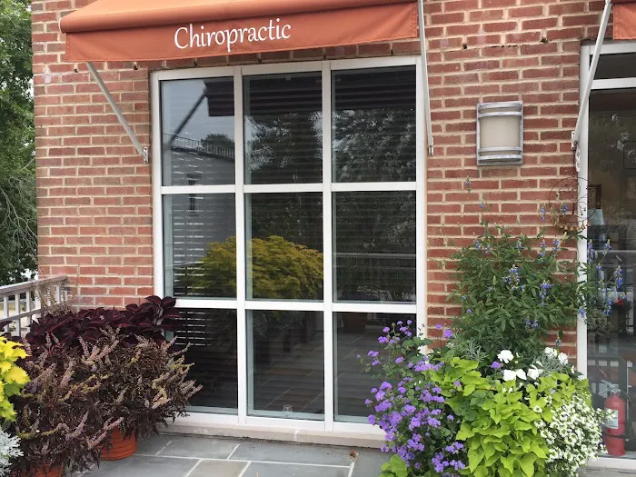 Cohen Family Chiropractic Picture 1