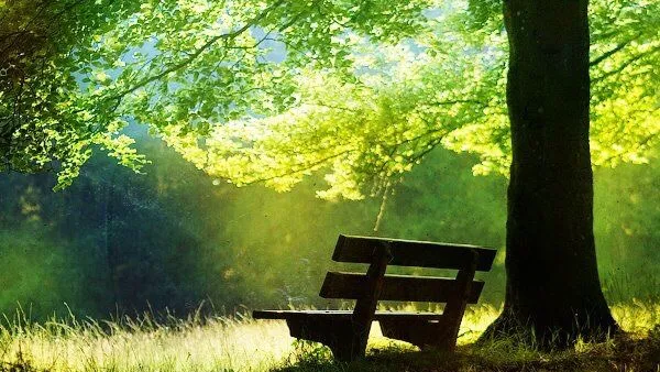 Jennifer Jaffe Finn, DC Picture 2