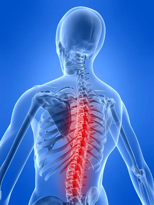 ChiroPlus of Locust Lane Picture 3