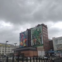 Dr. David Bodoff ico