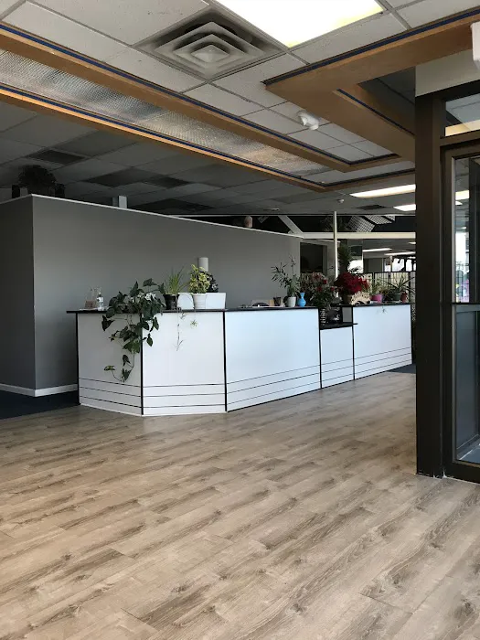 Warninger Chiropractic Center Picture 3