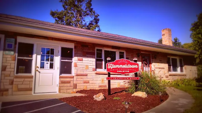 Hummelstown Family Chiropractic Picture 6