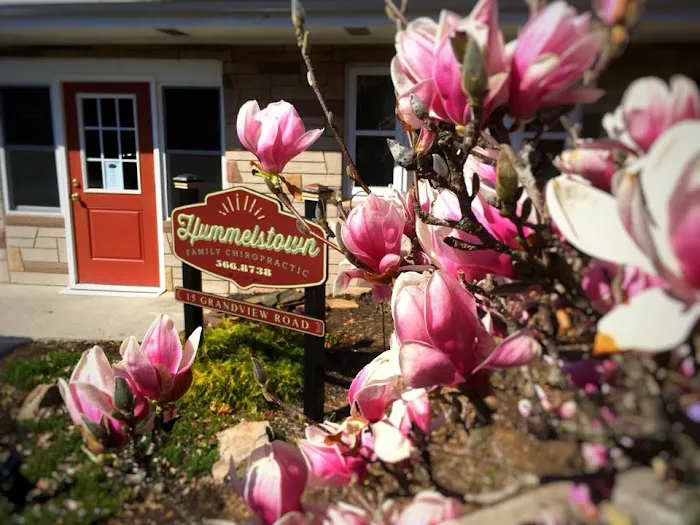 Hummelstown Family Chiropractic Picture 2