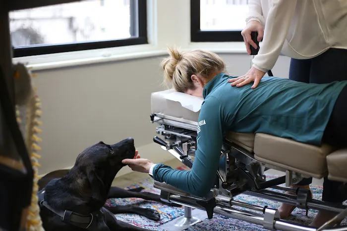 Luminous Chiropractic Picture 9