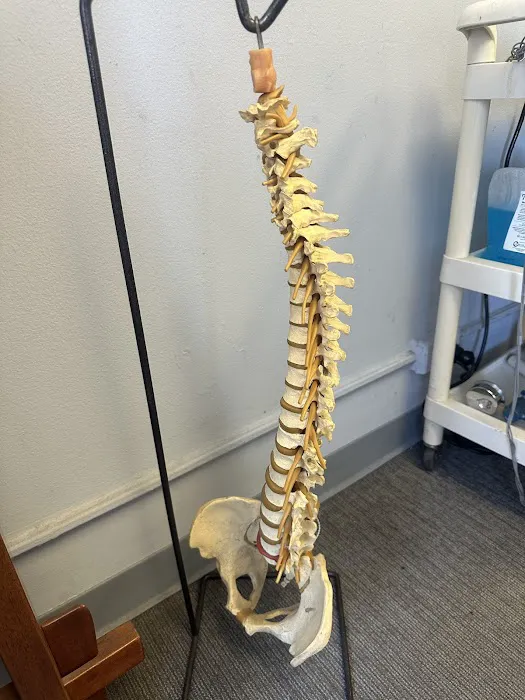 Dr. Paul Rubin's Chiropractic and Wellness Center Picture 10