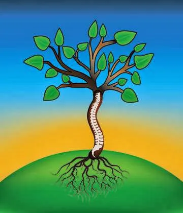 Wolfson Wellness Family Chiropractic Picture 9