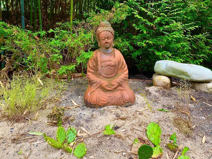 Chiropractor. Dr Joe Caraccilo. Space for wellness Picture 1