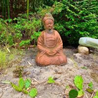 Chiropractor. Dr Joe Caraccilo. Space for wellness ico