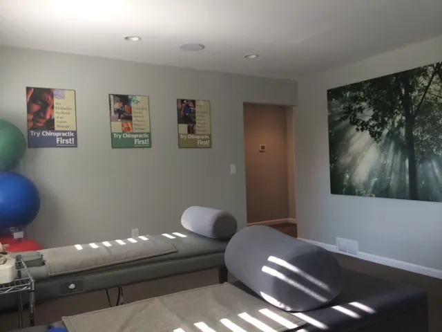 Eagle Chiropractic Health Center Picture 2