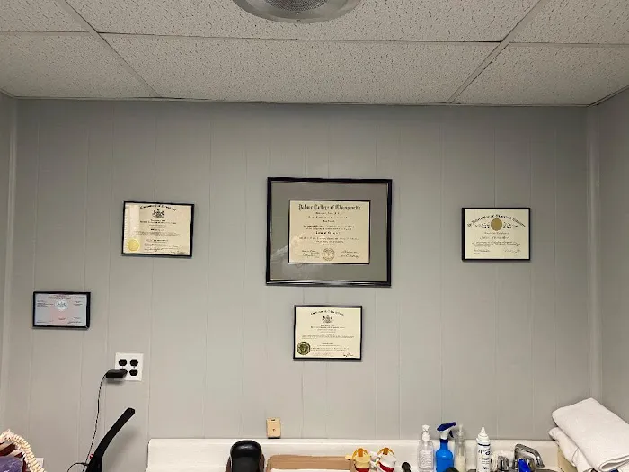 Chiropractor John Pandolfo, DC Picture 7