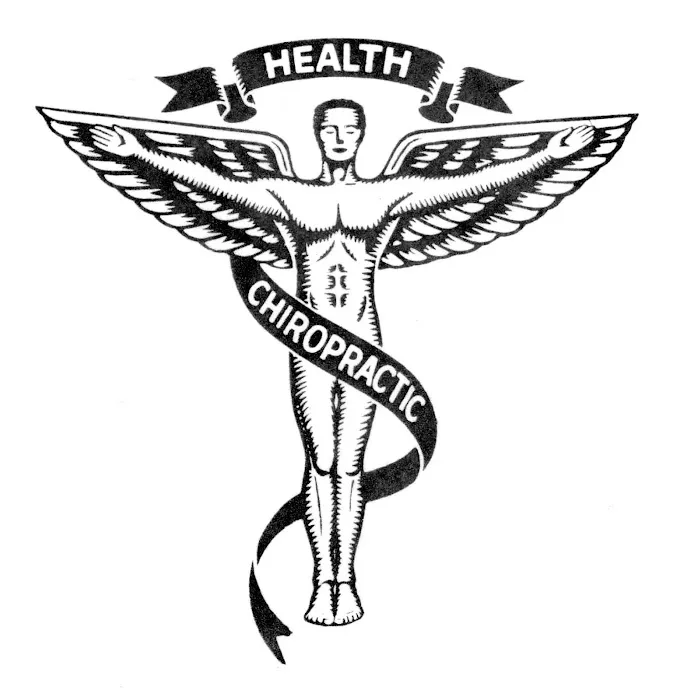 Chiropractor John Pandolfo, DC Picture 9