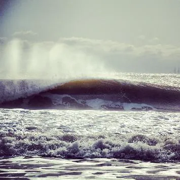 Ocean Chiropractic: Soroka Fred DC Picture 1